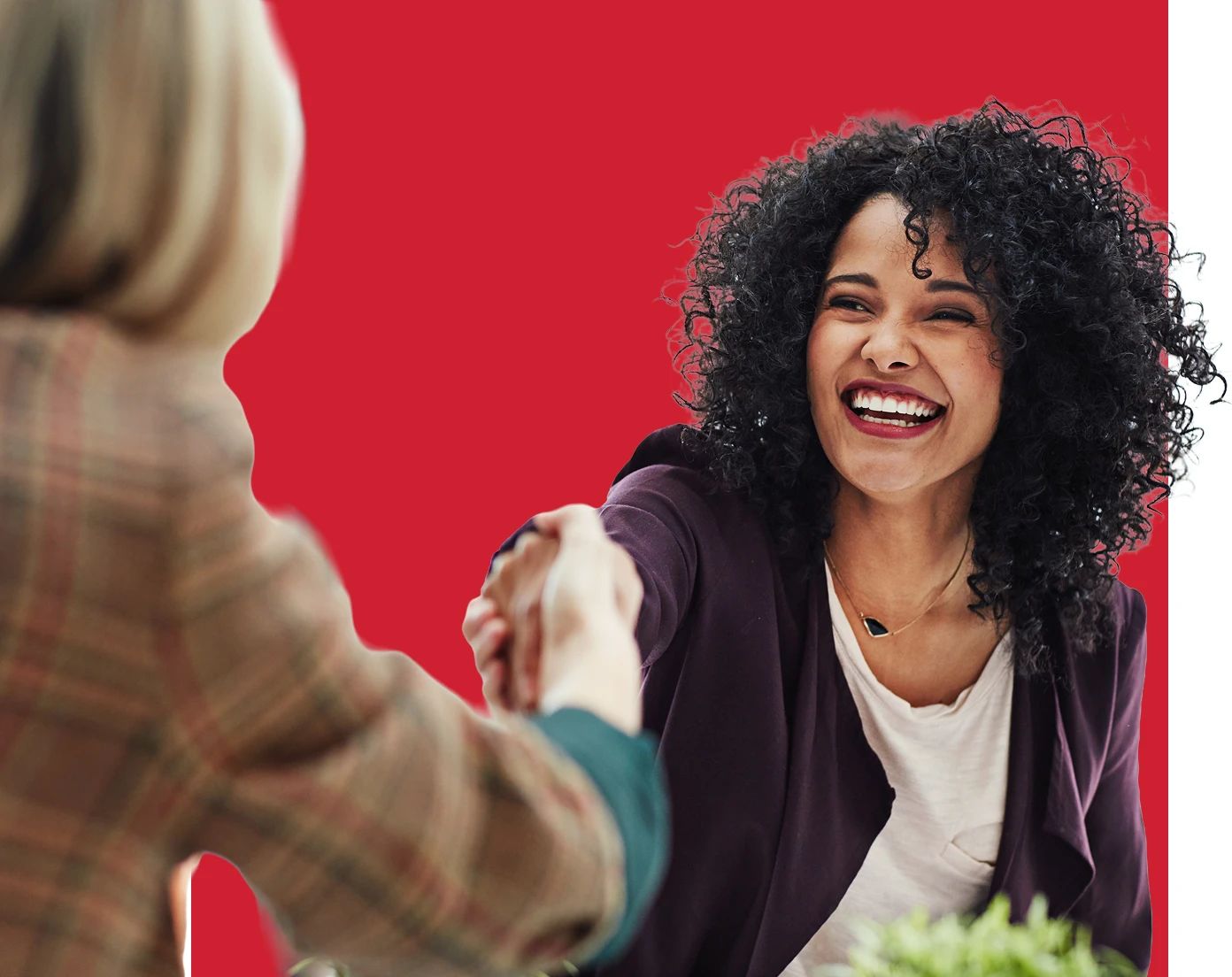 Executive-Search-new